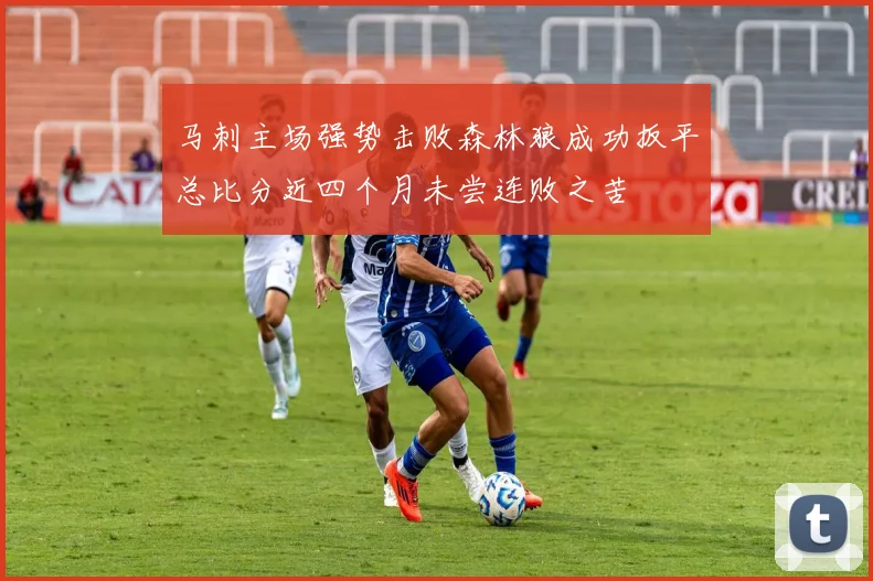 马刺主场强势击败森林狼成功扳平总比分近四个月未尝连败之苦